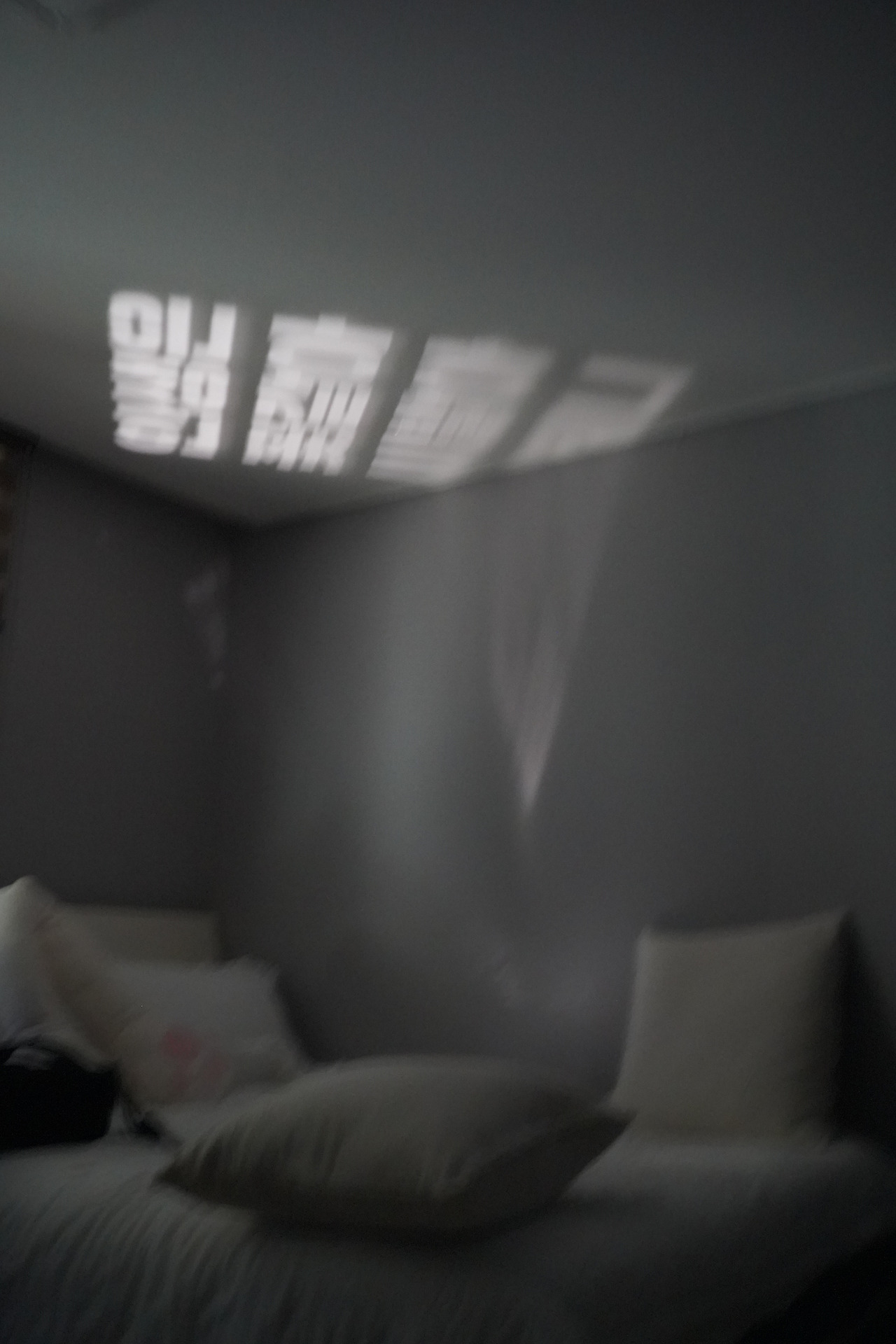 DSC02620.jpg