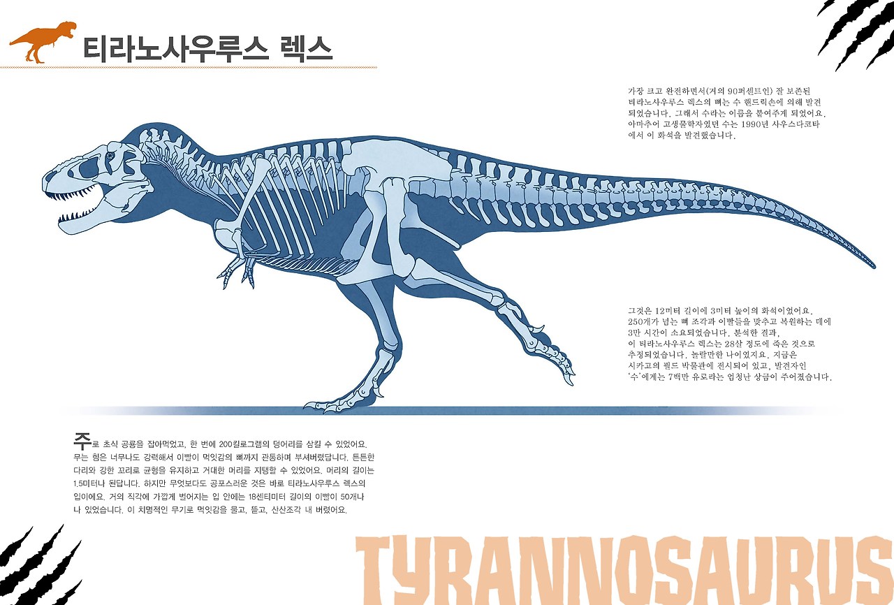 공룡대백과_본문_06.jpg